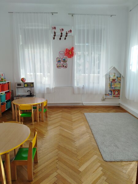 Pache, spatiu mare si parcare vila unica cu prestanta in locatie eleganta.